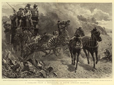 Un Equipo Delicado, Una Partida en el Transporte Sudafricano de John Charlton